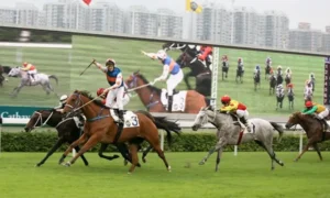 Khám Phá Cá Cược Đua Ngựa 98Win Bùng Nổ Cảm Xúc Phấn Khích