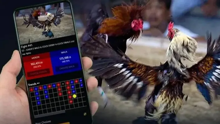 Khám Phá Sức Hút Của Đá Gà 98Win Với Những Trận Cầu Nảy Lửa